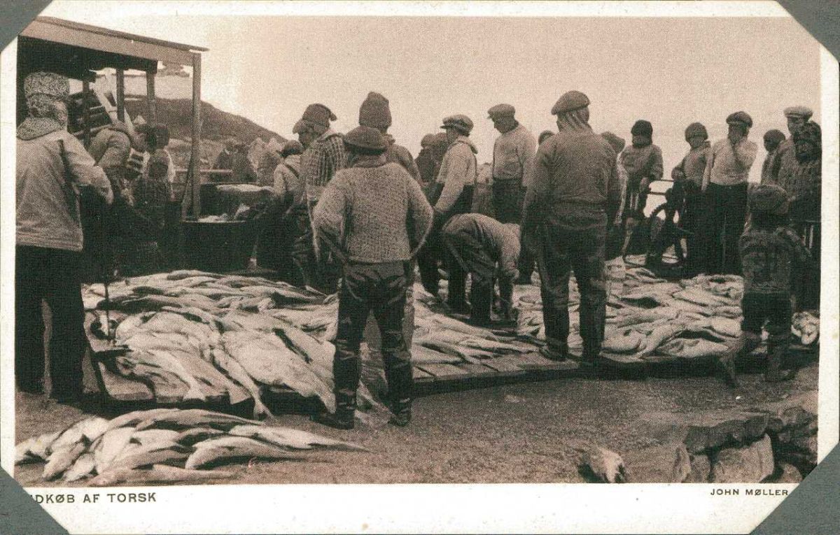 Hvad sker der i&nbsp;Grønland?