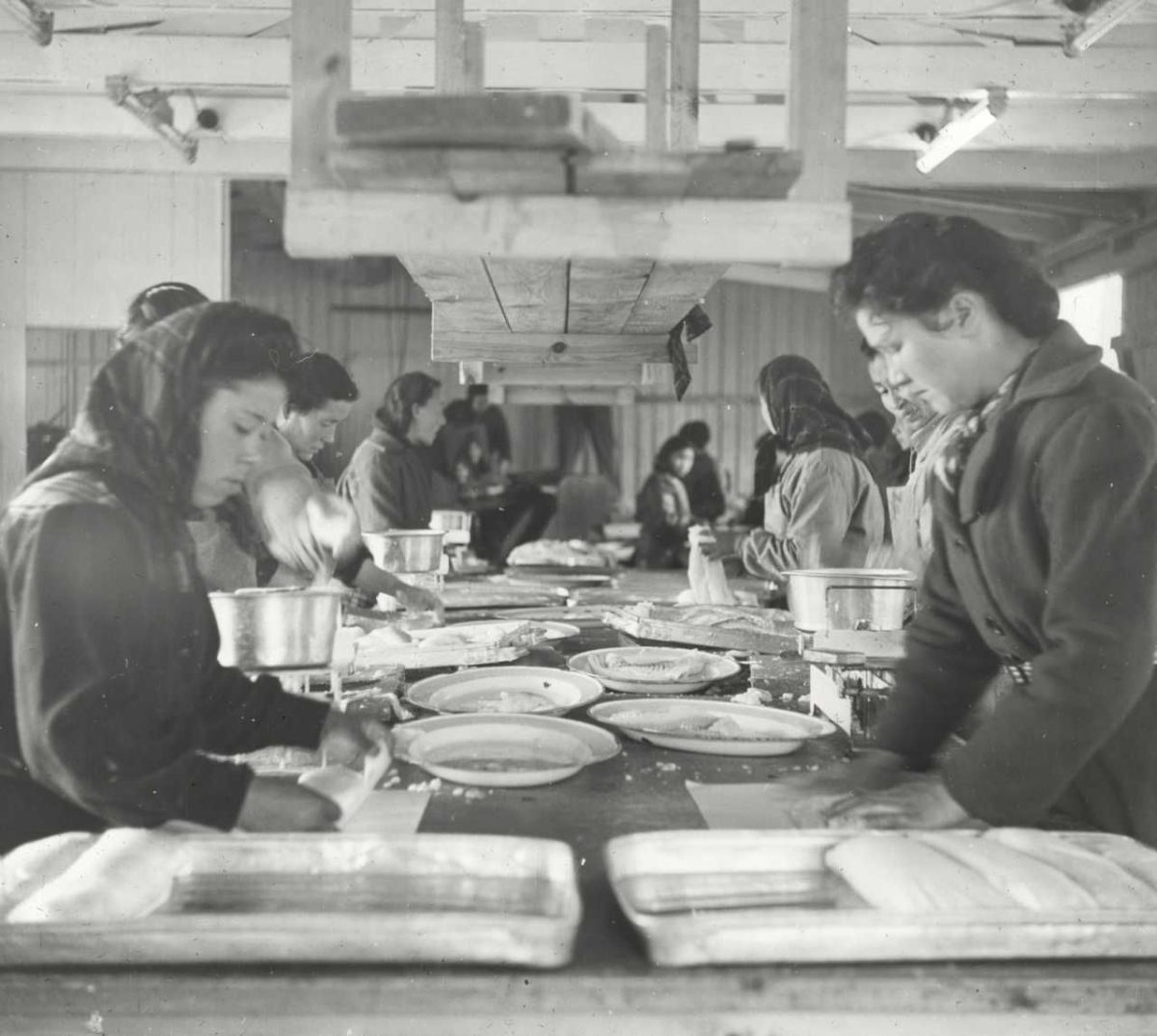 Voldsomme forandringer